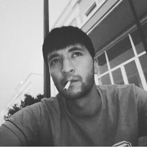 ���� 20672142 ����� SARDOR, 23 ����, ���� ���������� � �������