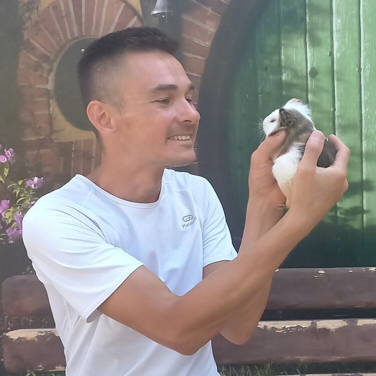 ���������� ������, ���� ������� �����, 43 ����, ������������ ��� c�������� ���������