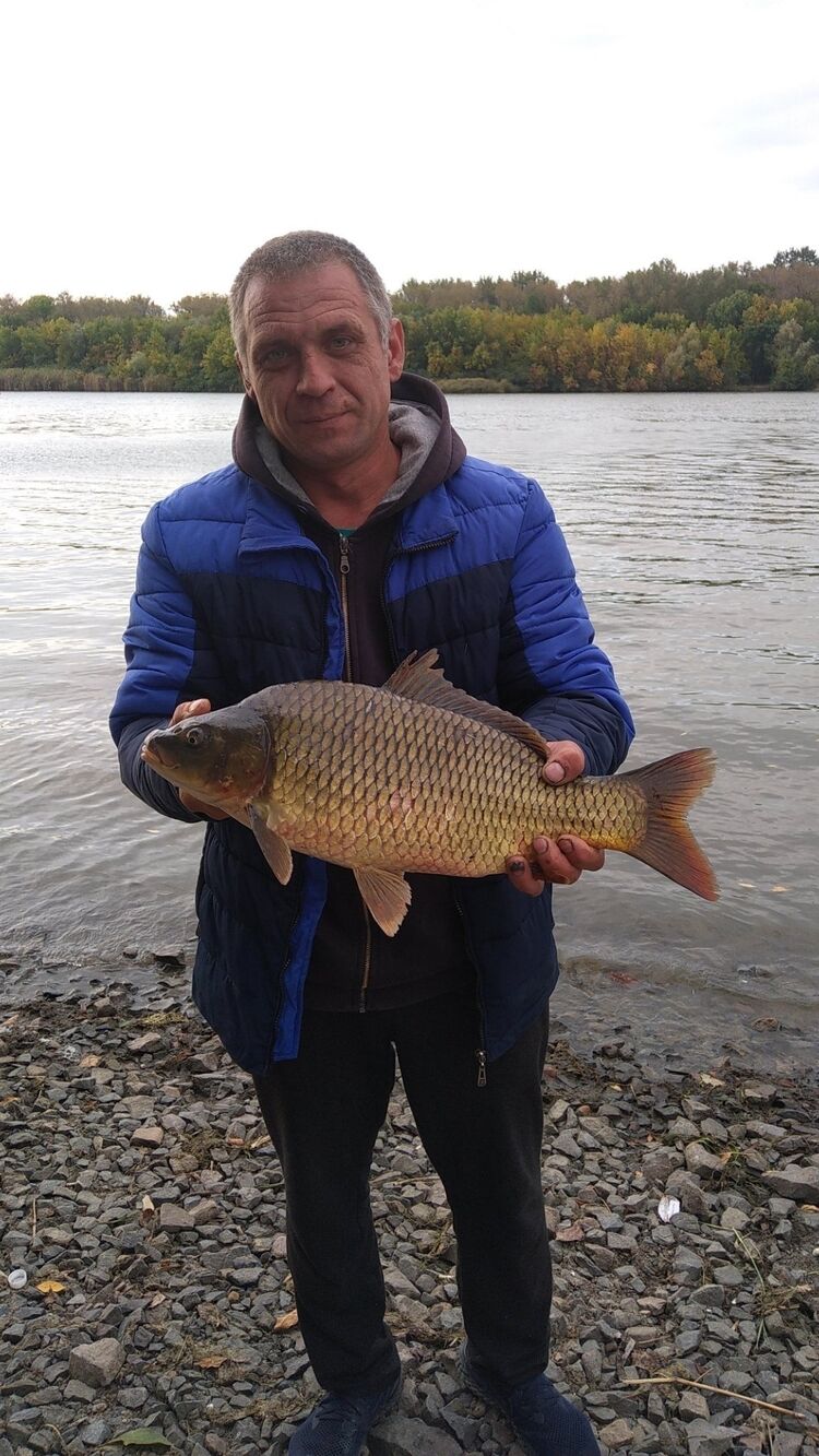 ���� 25688032 ������� ������, 44 ����, ���� ���������� � �������-��-����