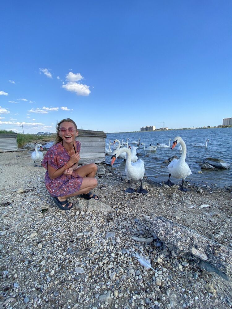 ���������� �����-���������, ���� ������� ����, 27 ���, ������������ ��� ������, ����� � ���������