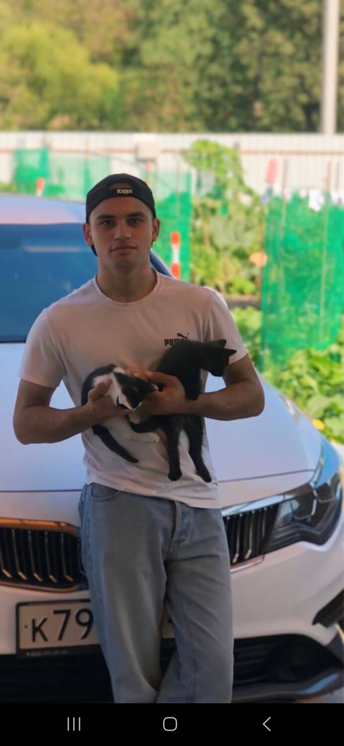 ���������� ������, ���� ������� Ali, 28 ���, ������������ ��� ������, ����� � ���������