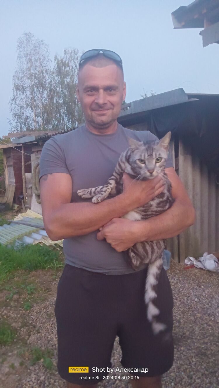  ,   , 49 ,   ,   , c , 