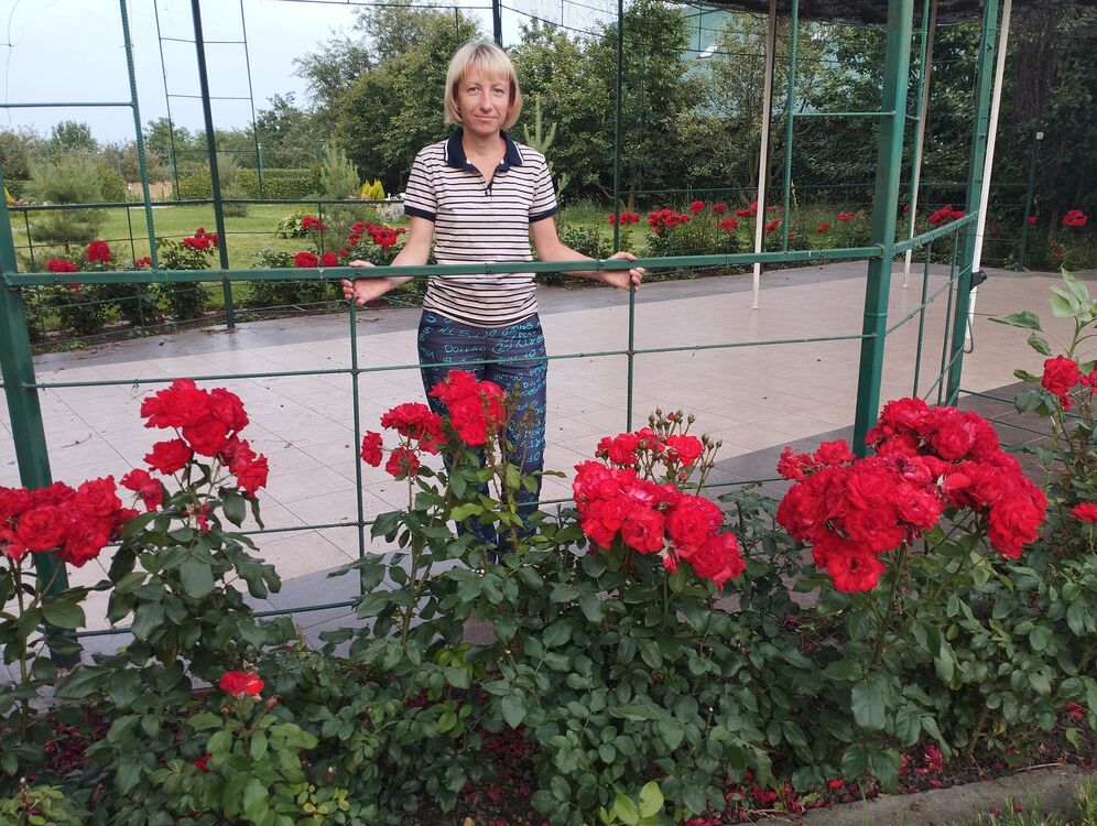   ,   , 43 ,     , c , 
