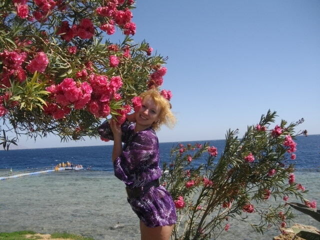 ���������� �������, ���� ������� ���, 43 ����, ������������ ��� ������, ����� � ���������, c�������� ���������