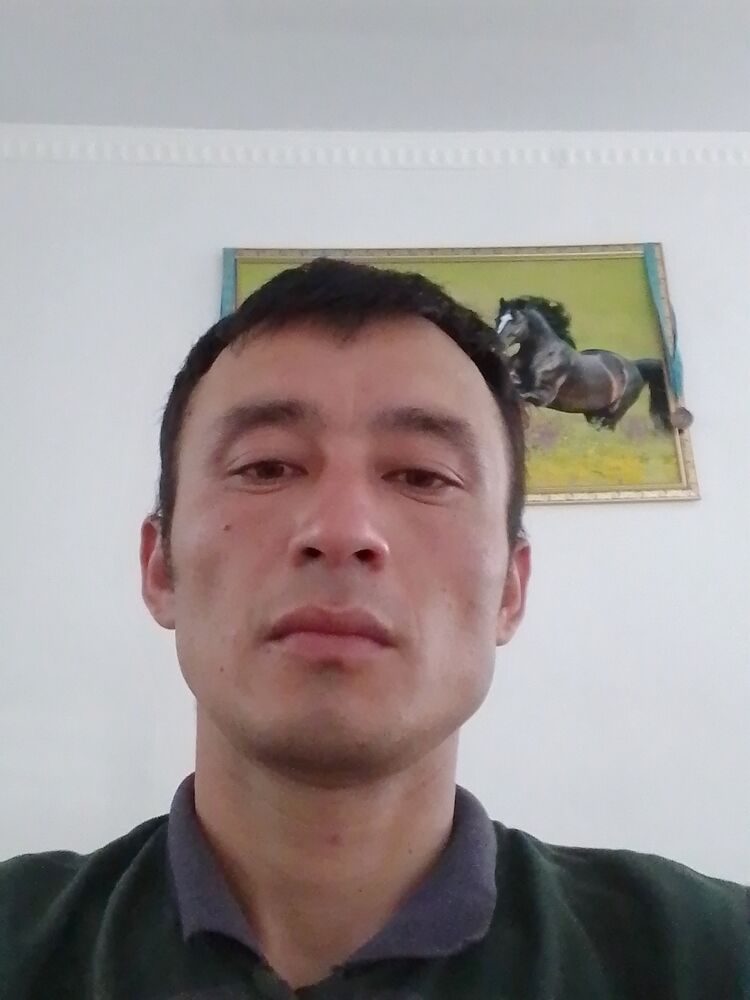  37793802  , 34 ,    