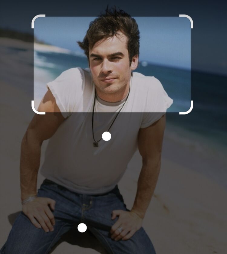 ���� 25723412 ������� �������, 36 ���, ���� ���������� � ������