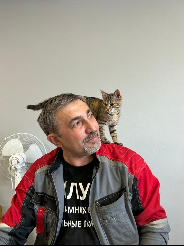 ���������� �����-���������, ���� ������� �������, 47 ���, ������������ ��� ������, ����� � ���������