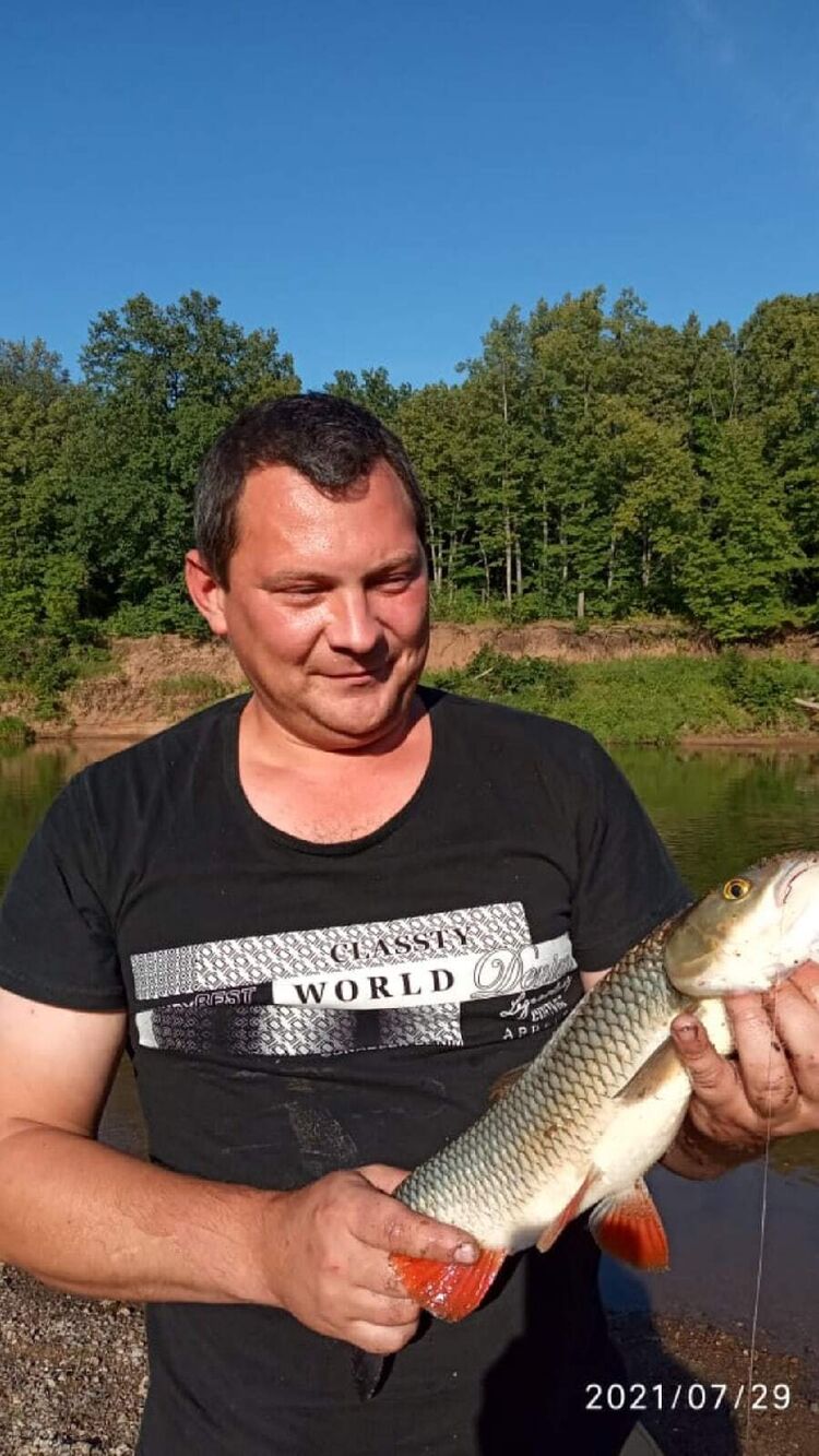 ���� 55798192 ������� �����, 36 ���, ���� ���������� � ����