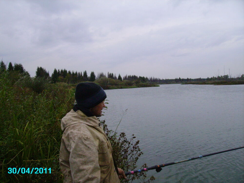 ���������� �������, ���� ������� Cfif, 58 ���, ������������ ��� ������, ����� � ���������, ���������