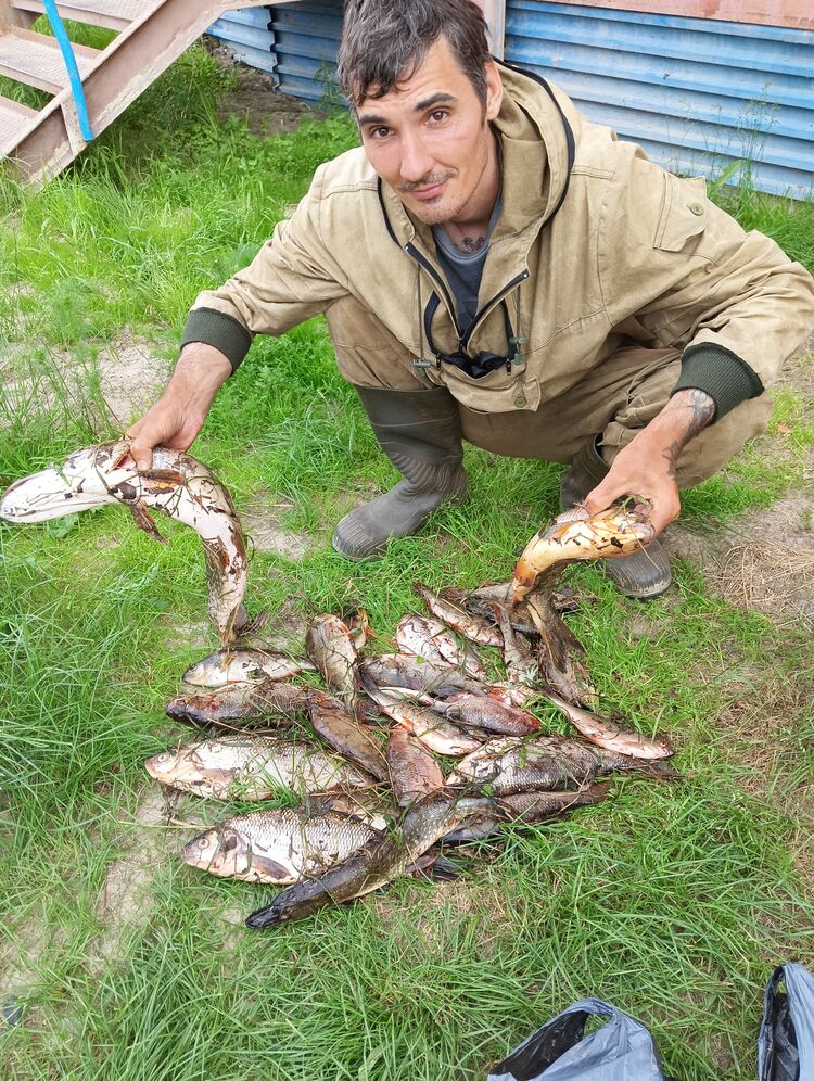 ���������� ���������, ���� ������� ���������, 37 ���, ������������ ��� ����� � ���������, c�������� ���������, ���������