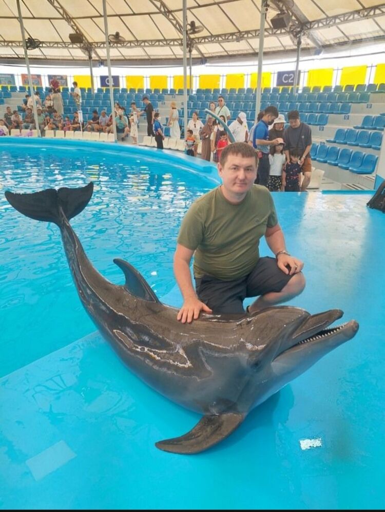 ���� 39071452 ������� ����, 38 ���, ���� ���������� � ����������