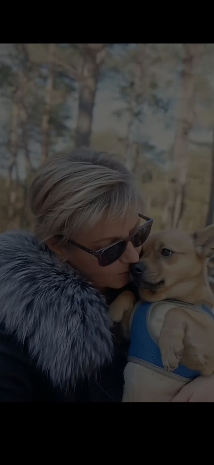 ���� 55884072 ������� �����, 48 ���, ���� ���������� � ����