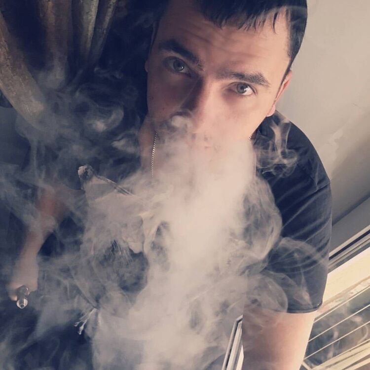 ���� 33931782 ������� ���������, 36 ���, ���� ���������� � �����