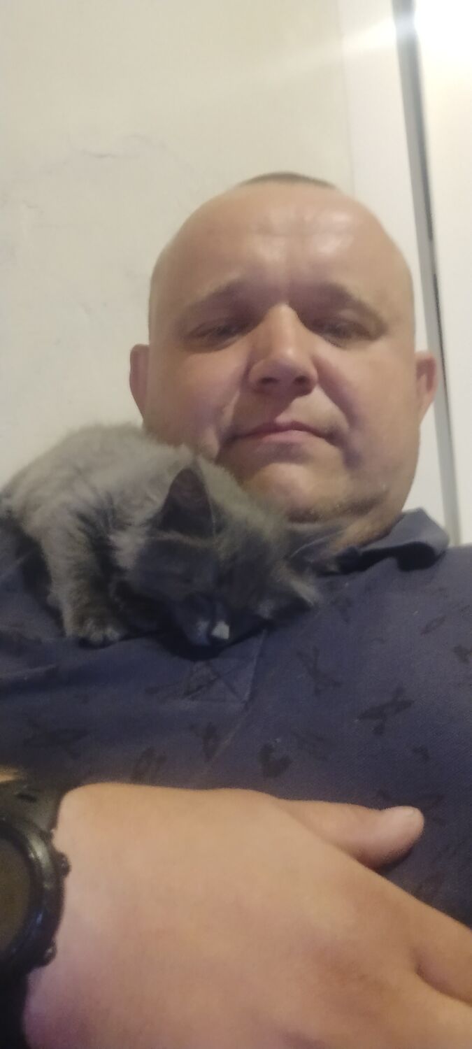 ���������� �����������, ���� ������� ��������, 38 ���, ������������ ��� ������, ����� � ���������, c�������� ���������, ���������