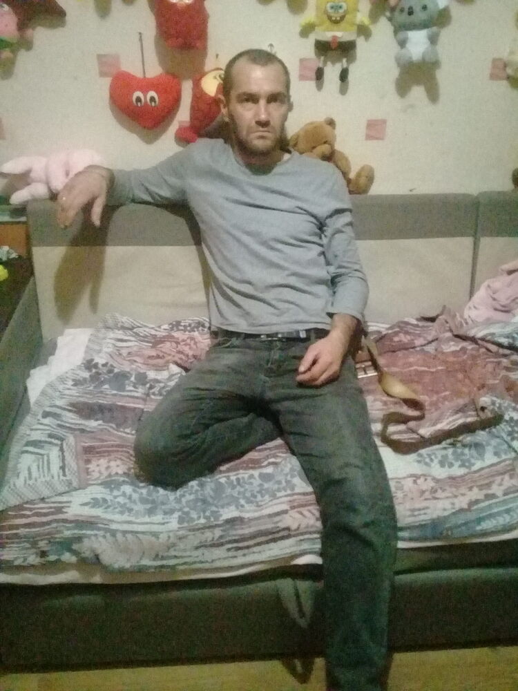  31554582  , 42 ,    