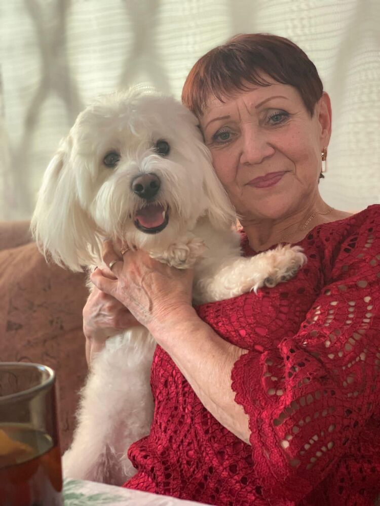 ���� 50083212 ������� �����, 64 ����, ���� ���������� � ����������