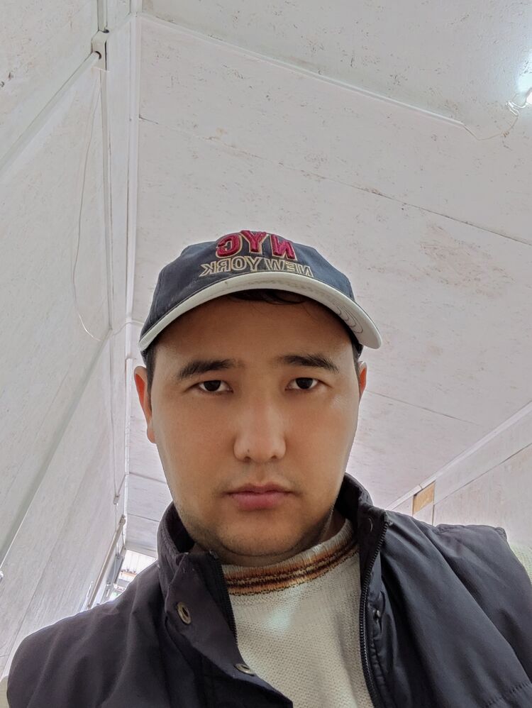  37972652  , 31 ,    
