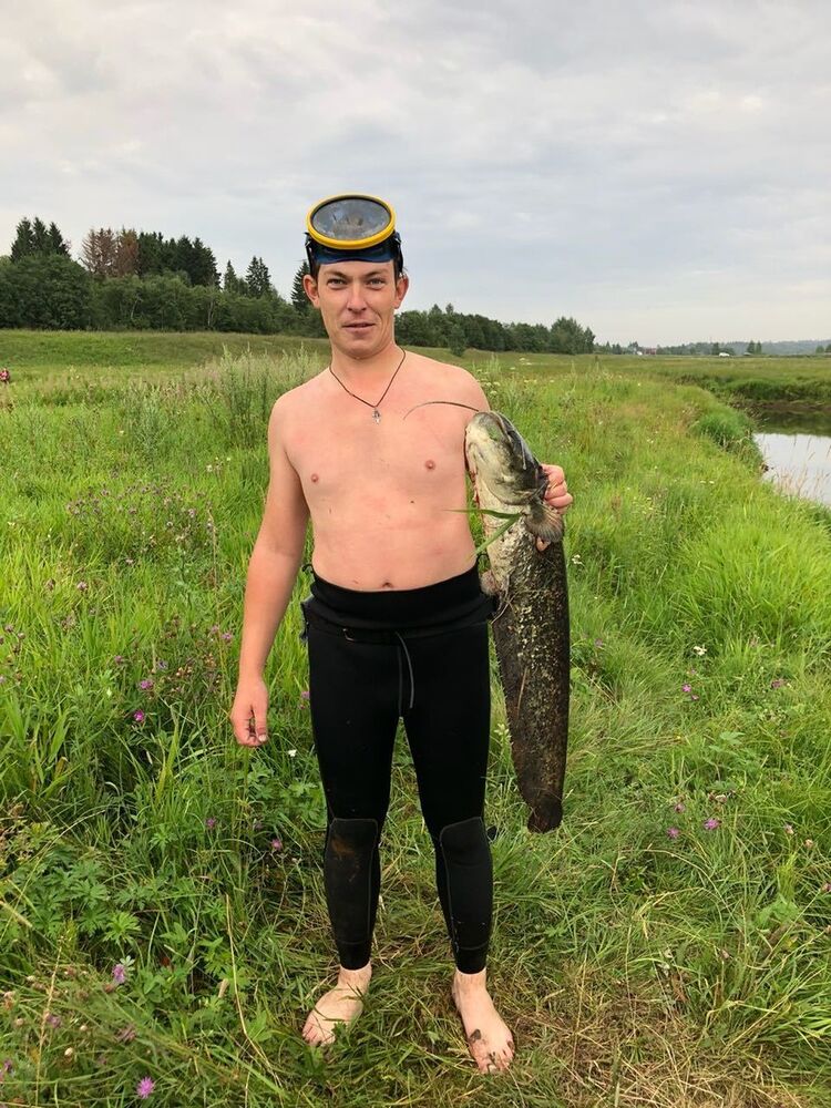  19036532  , 37 ,    