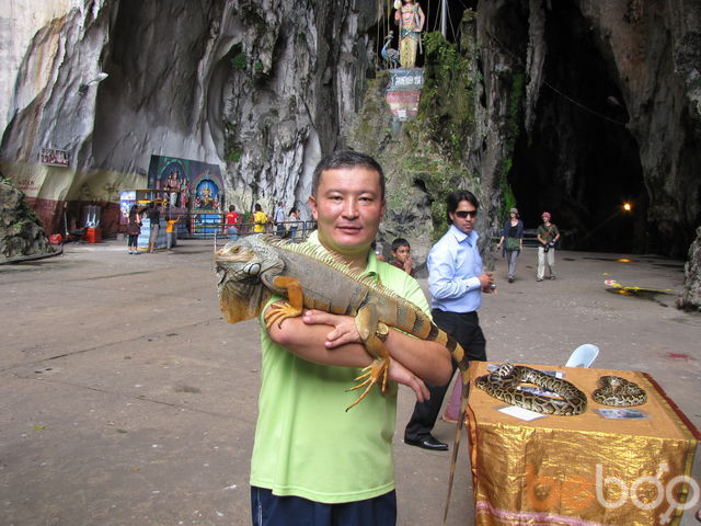 ���������� �������, ���� ������� �����, 54 ����, ������������ ��� ������, ����� � ���������, c�������� ���������