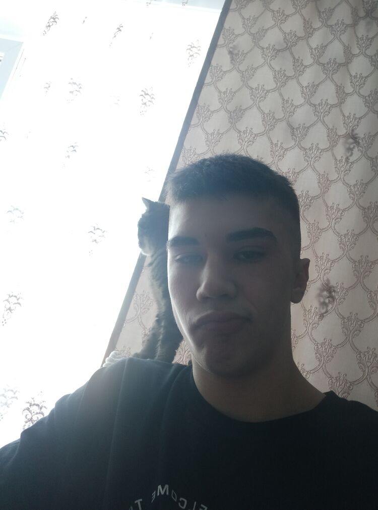  ,   , 21 ,     , c , 