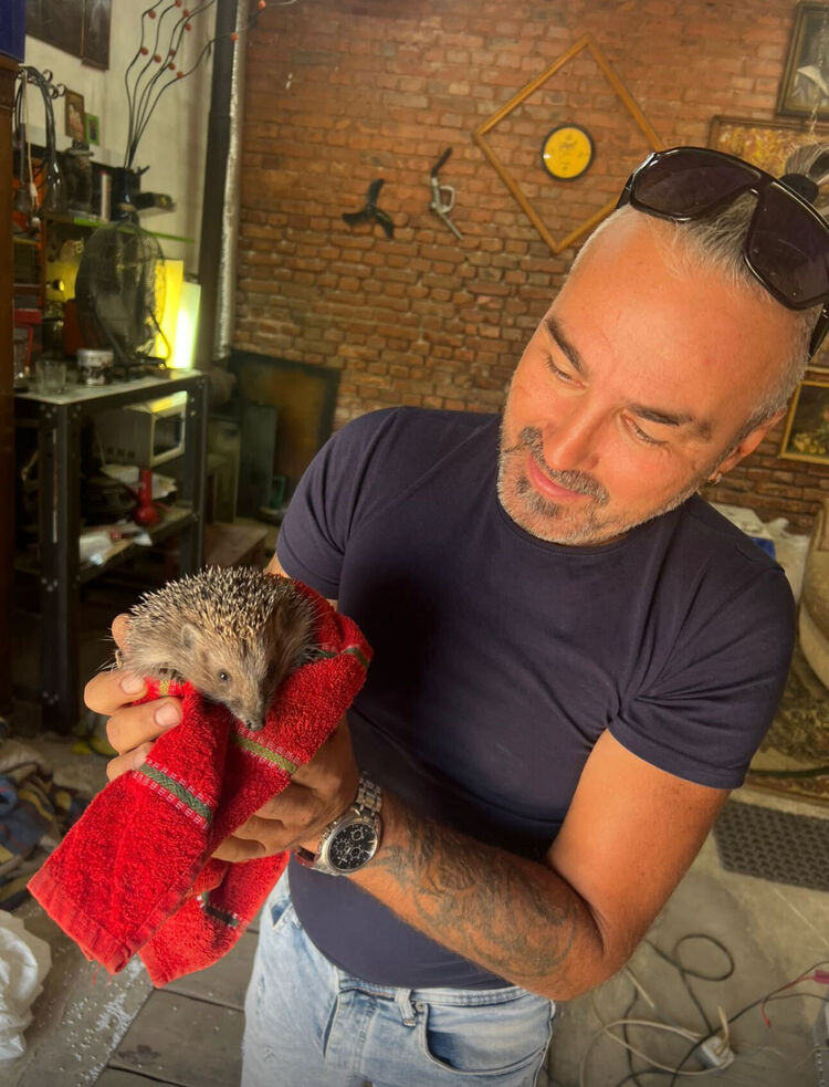 ���� 55608042 ������� ����, 44 ����, ���� ���������� � �����