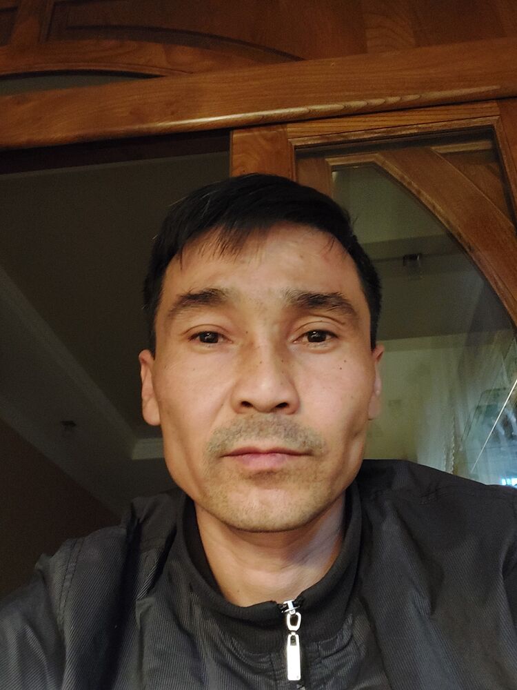  33790032  , 40 ,    
