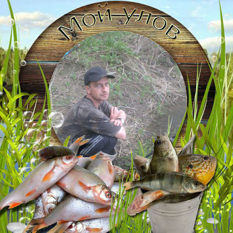 ���� 11154422 ������� ����, 43 ����, ���� ���������� � ������������