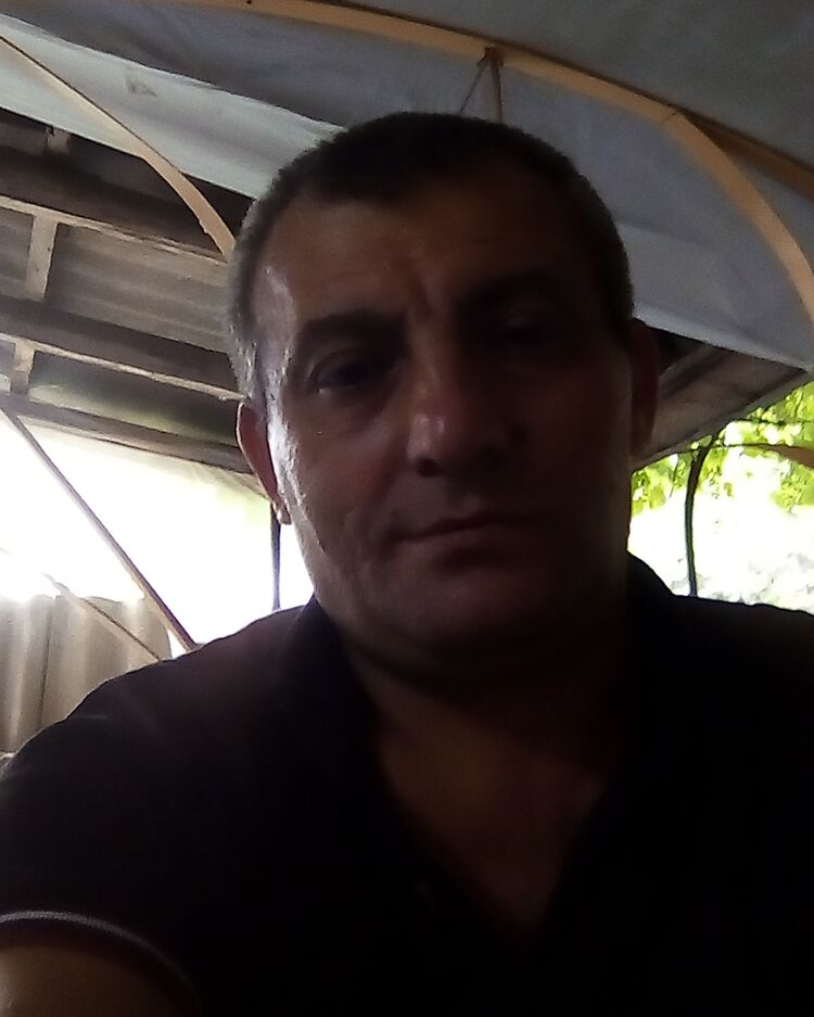  26572592  , 51 ,    