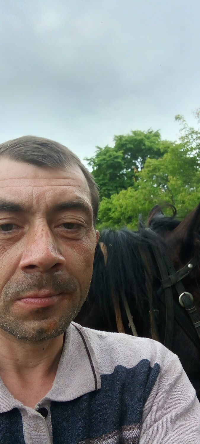  43675482  , 44 ,    