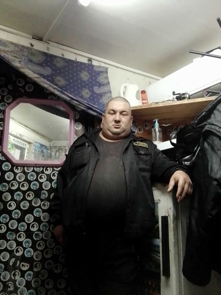  29094682  , 41 ,    