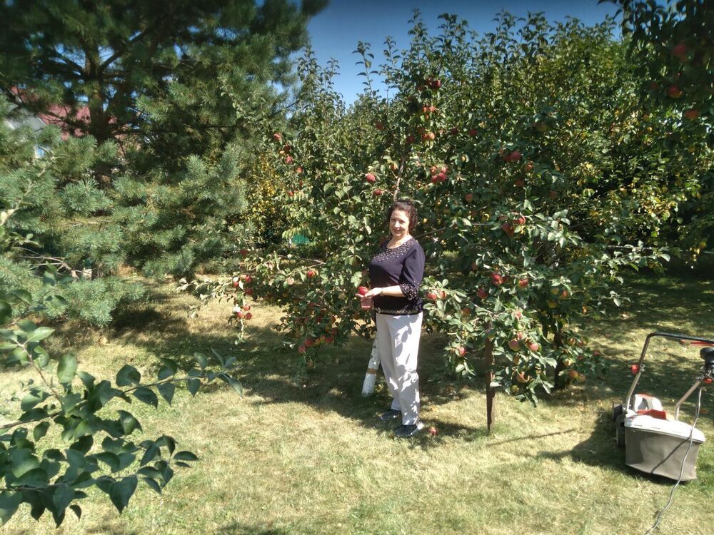 ���������� �������, ���� ������� �������, 75 ���, ������������ ��� ������, ����� � ���������