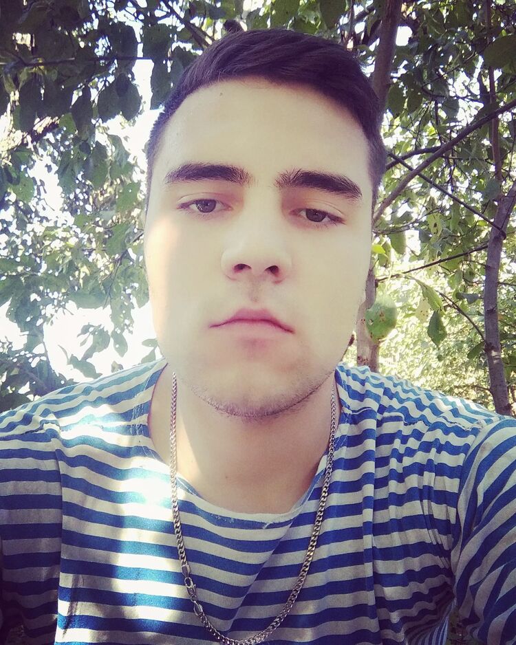  24483332  , 23 ,    