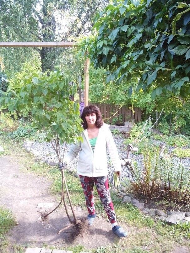  7348942  , 51 ,    -