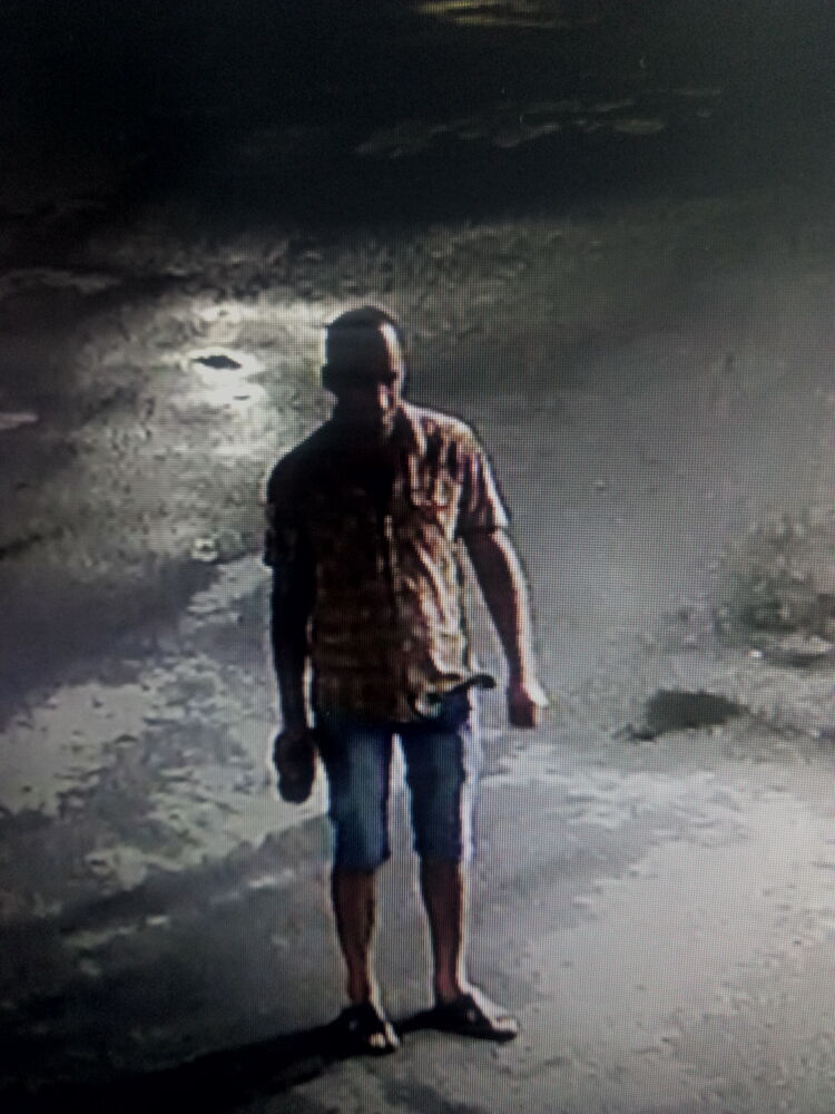  29447272  , 51 ,    