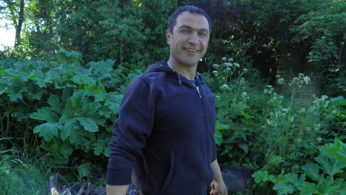  ,   , 54 ,   