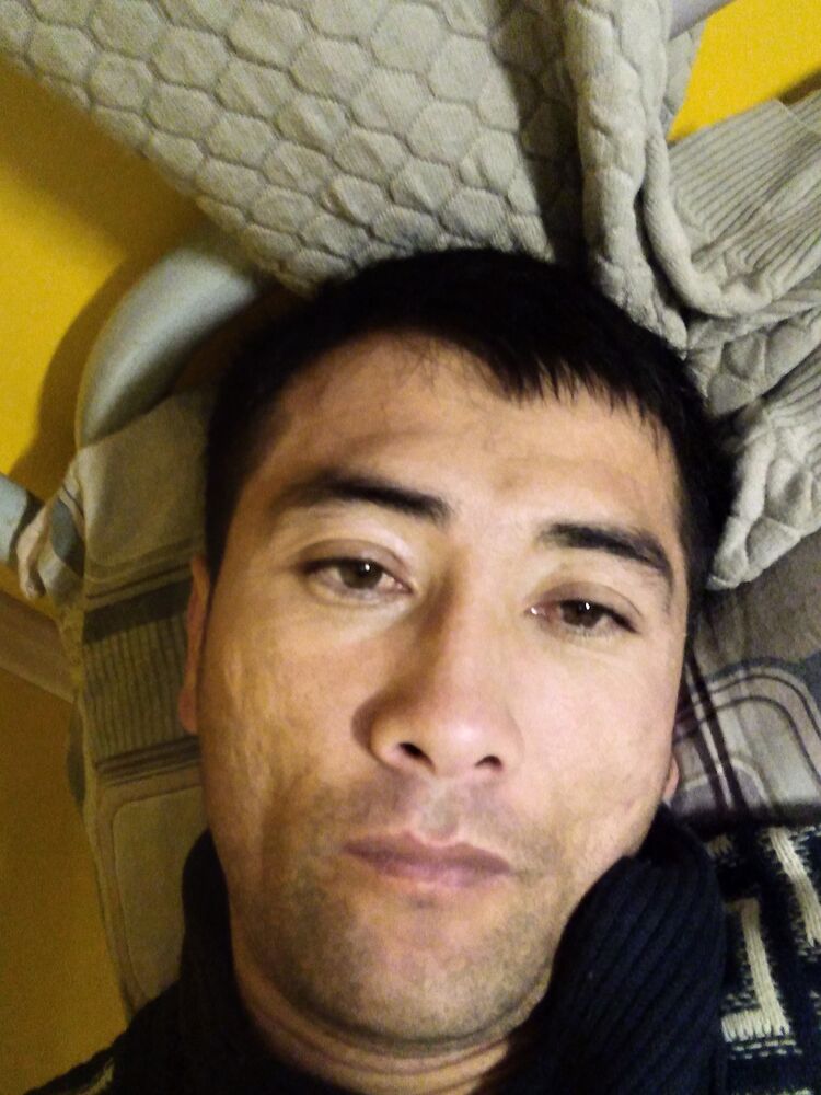 ���� 32117412 ������� Shox, 32 ����, ���� ���������� � ������