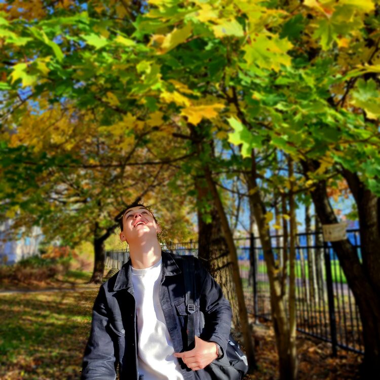 ���� 42642882 ����� ������, 22 ����, ���� ���������� � �����-����������