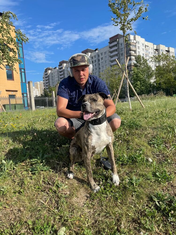 ���� 36755812 ������� Serj, 39 ���, ���� ���������� � �����-����������