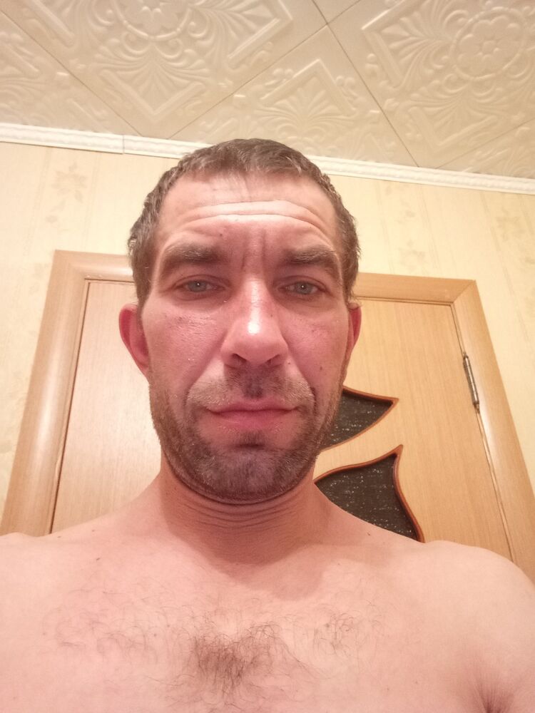  39988122  , 43 ,    