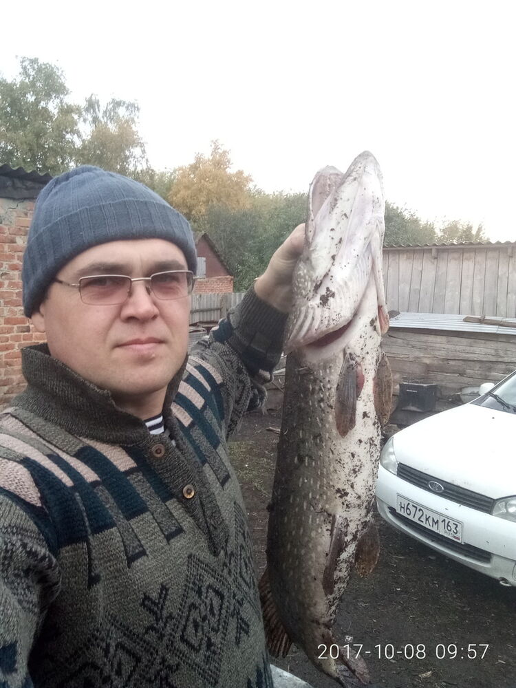 ���� 19438272 ������� �������, 46 ���, ���� ���������� � ������