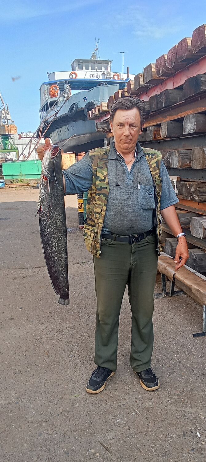  53475022  Sergei, 49 ,    