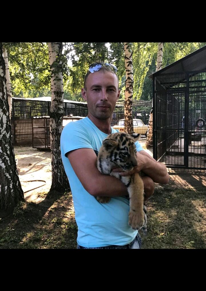 ���� 42202812 ������� ������, 35 ���, ���� ���������� � ��������