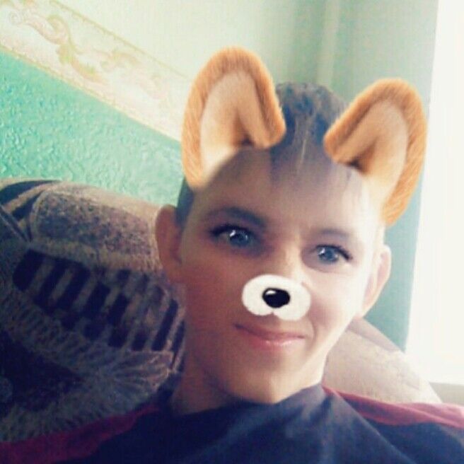  17962662  , 24 ,    -