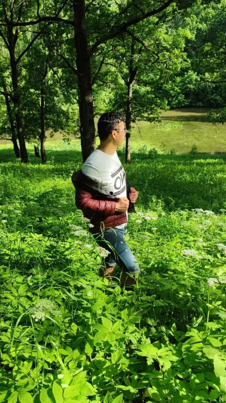  28958372  , 33 ,    