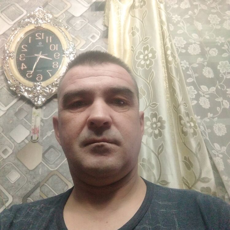  49195882  , 43 ,    