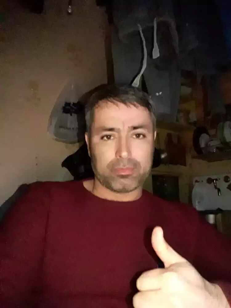  24166712  , 49 ,    -