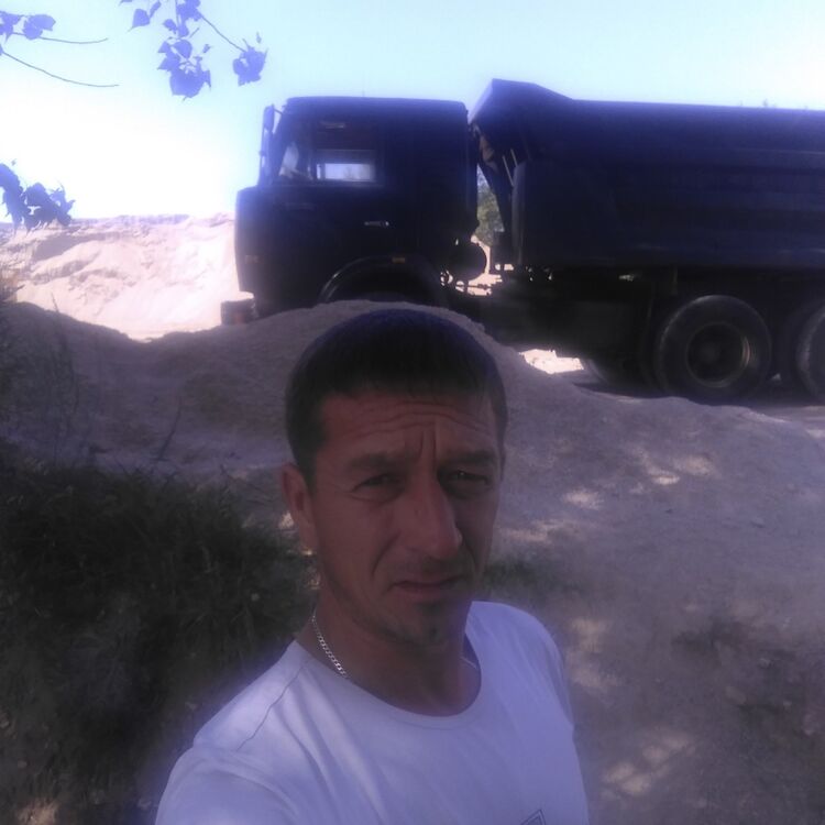  19586002  , 47 ,    