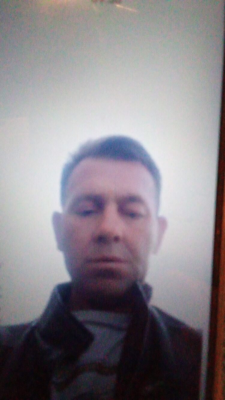 ���� 55883572 ������� ��������, 50 ���, ���� ���������� � ���������