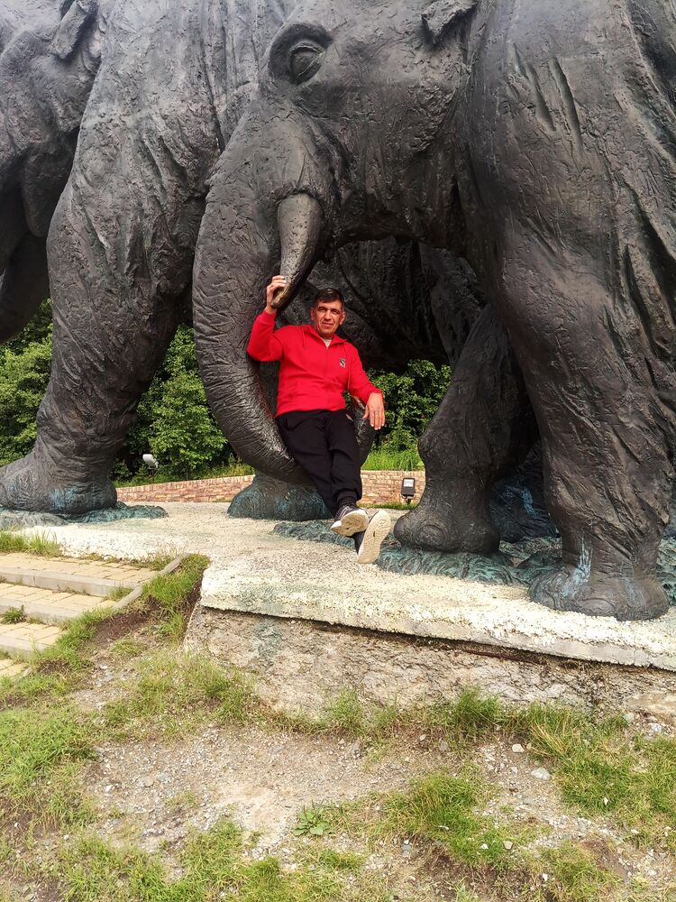 ���� 55711312 ������� ����, 50 ���, ���� ���������� � ���������