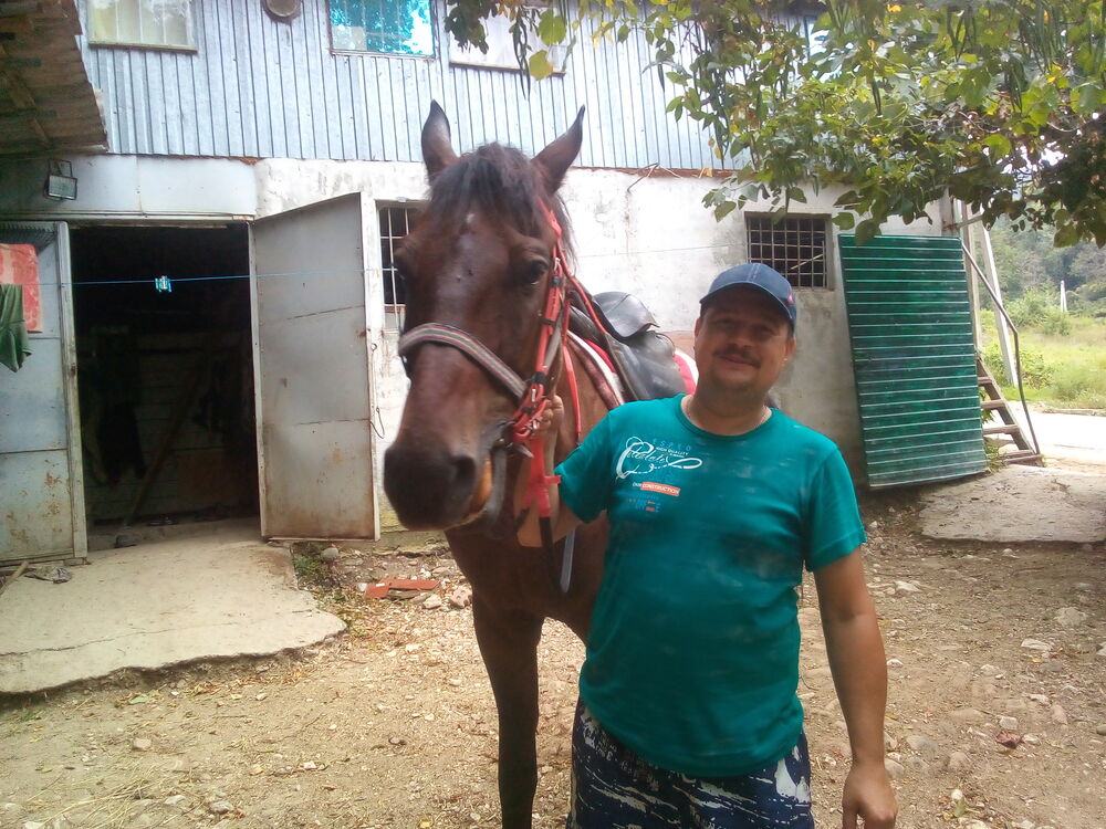 ���������� �������, ���� ������� ������, 41 ���, ������������ ��� ������, ����� � ���������, c�������� ���������